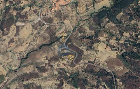 Terreno Rústico  Venda em Vilares de Vilariça,Alfândega da Fé