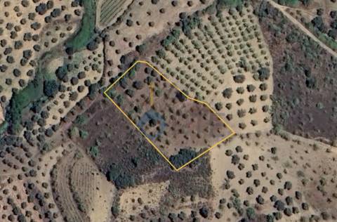 Terreno Rústico  Venda em Vilares de Vilariça,Alfândega da Fé