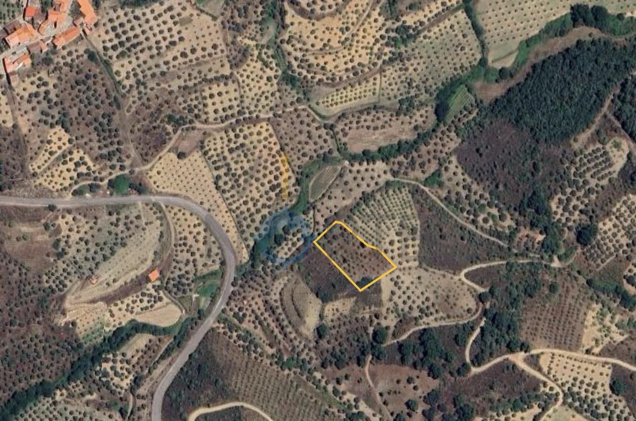Terreno Rústico  Venda em Vilares de Vilariça,Alfândega da Fé