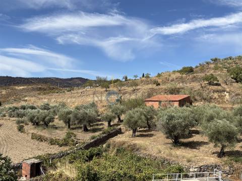 Terreno Rústico  Venda em Vilares de Vilariça,Alfândega da Fé