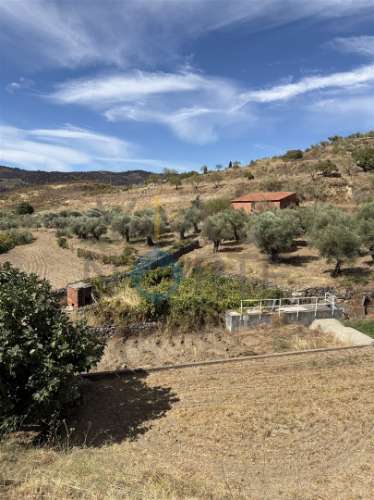 Terreno Rústico  Venda em Vilares de Vilariça,Alfândega da Fé