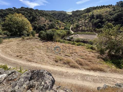 Terreno Rústico  Venda em Vilares de Vilariça,Alfândega da Fé