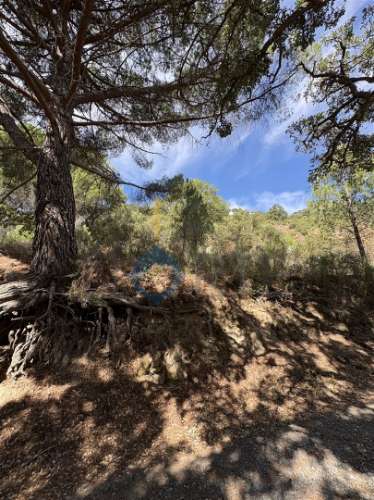 Terreno Rústico  Venda em Vilares de Vilariça,Alfândega da Fé