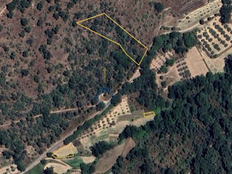 Terreno Rústico  Venda em Vilares de Vilariça,Alfândega da Fé