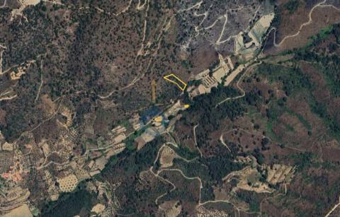 Terreno Rústico  Venda em Vilares de Vilariça,Alfândega da Fé