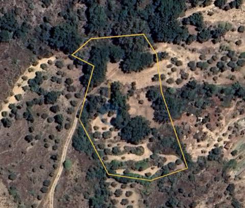 Terreno Rústico  Venda em Vilares de Vilariça,Alfândega da Fé