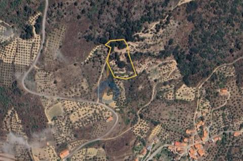 Terreno Rústico  Venda em Vilares de Vilariça,Alfândega da Fé