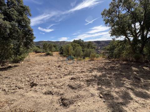 Terreno Rústico  Venda em Vilares de Vilariça,Alfândega da Fé