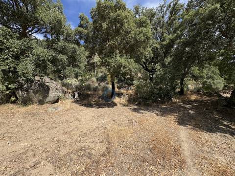 Terreno Rústico  Venda em Vilares de Vilariça,Alfândega da Fé