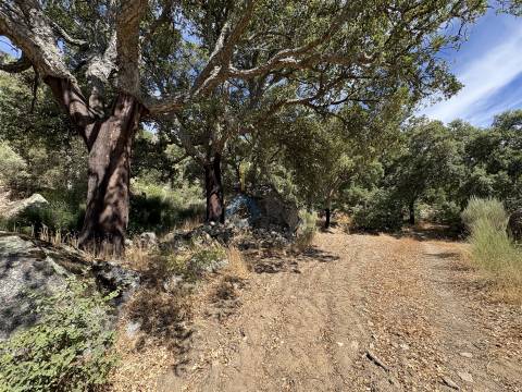 Terreno Rústico  Venda em Vilares de Vilariça,Alfândega da Fé