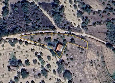 Terreno Rústico  Venda em Ferradosa e Sendim da Serra,Alfândega da Fé