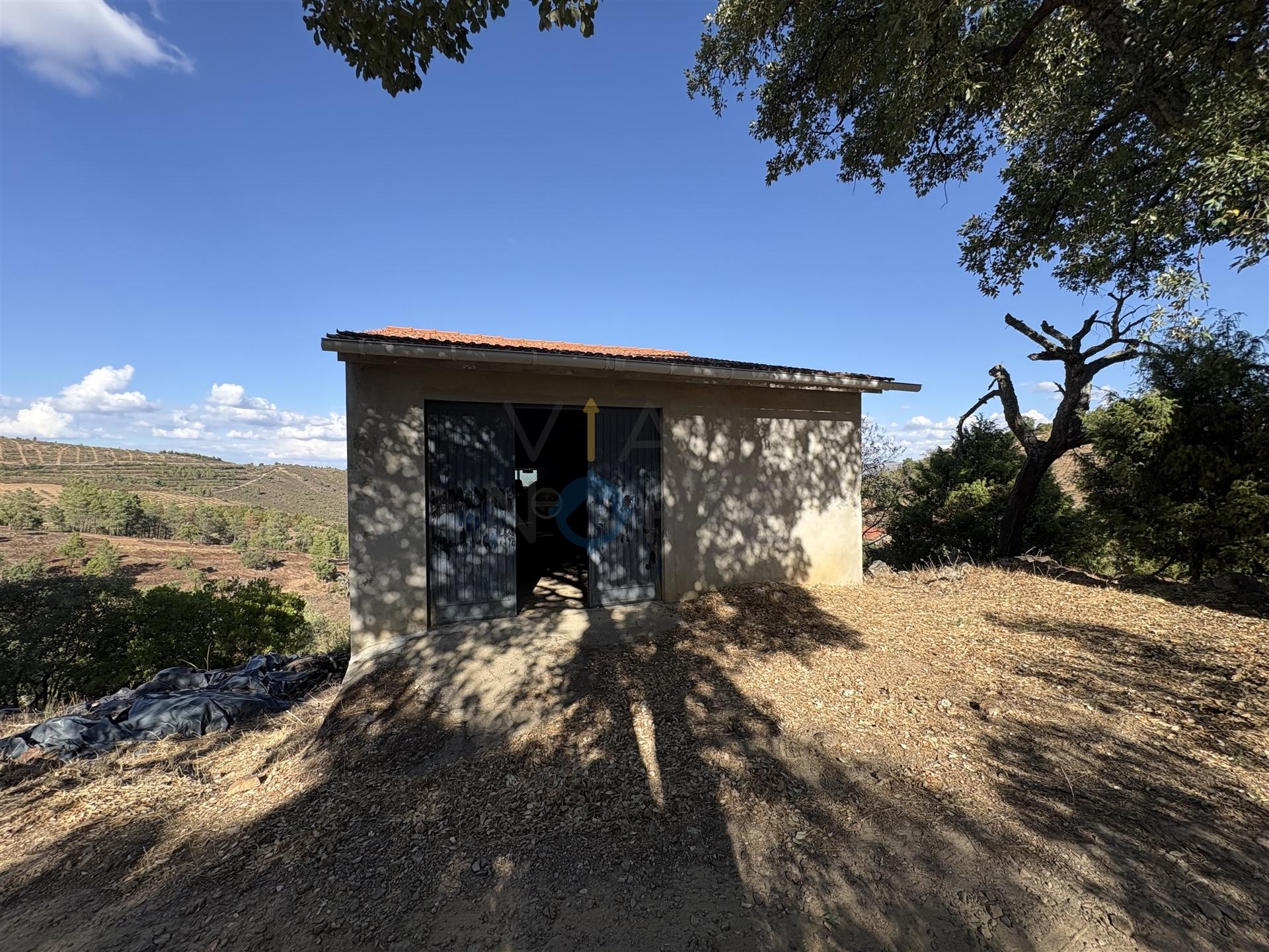 Terreno Rústico  Venda em Ferradosa e Sendim da Serra,Alfândega da Fé
