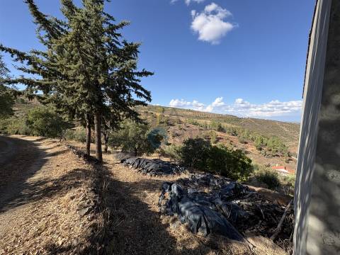 Terreno Rústico  Venda em Ferradosa e Sendim da Serra,Alfândega da Fé