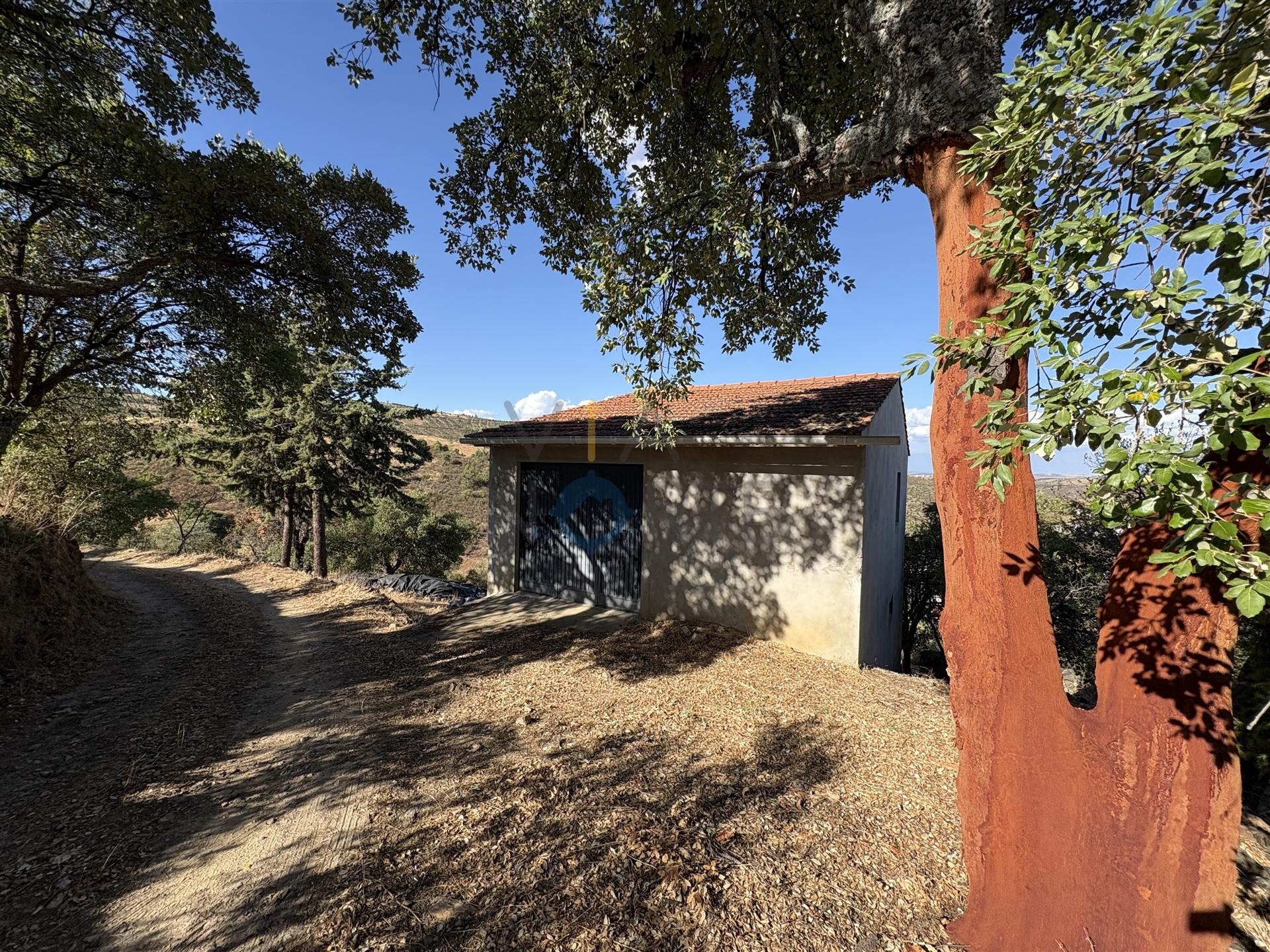 Terreno Rústico  Venda em Ferradosa e Sendim da Serra,Alfândega da Fé