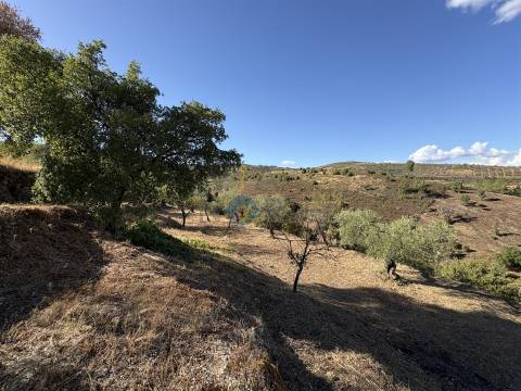 Terreno Rústico  Venda em Ferradosa e Sendim da Serra,Alfândega da Fé