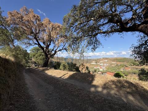 Terreno Rústico  Venda em Ferradosa e Sendim da Serra,Alfândega da Fé