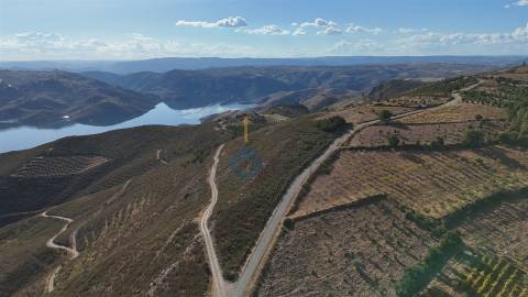 Terreno Rústico  Venda em Ferradosa e Sendim da Serra,Alfândega da Fé