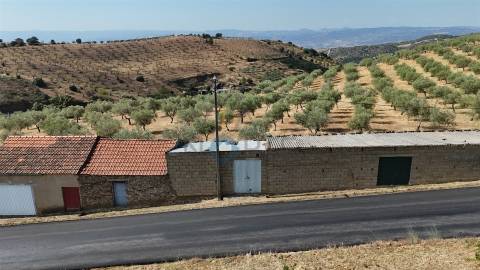 Garagem  Venda em Alfândega da Fé,Alfândega da Fé