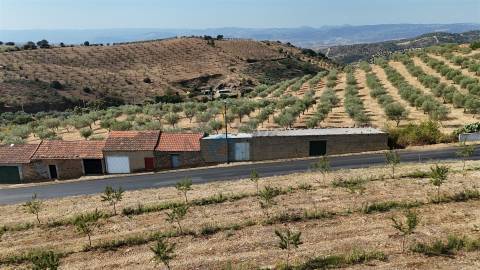 Garagem  Venda em Alfândega da Fé,Alfândega da Fé