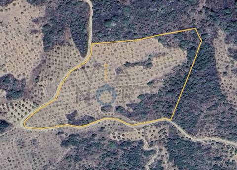 Terreno Rústico  Venda em Vilar Chão,Alfândega da Fé