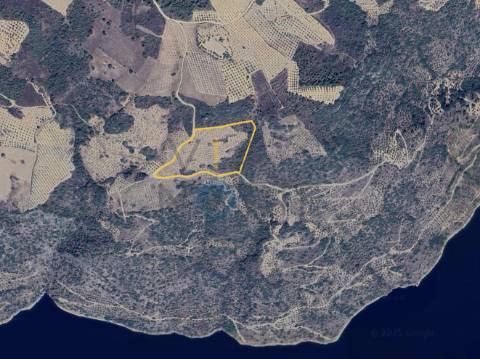 Terreno Rústico  Venda em Vilar Chão,Alfândega da Fé