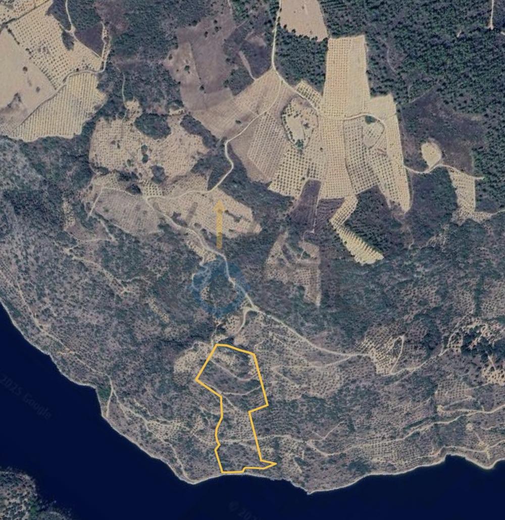 Terreno Rústico  Venda em Vilar Chão,Alfândega da Fé