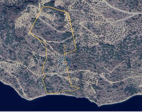 Terreno Rústico  Venda em Vilar Chão,Alfândega da Fé