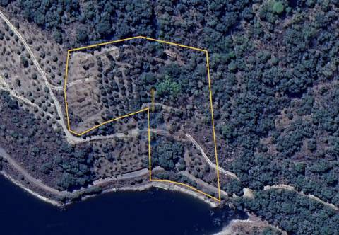 Terreno Rústico  Venda em Vilar Chão,Alfândega da Fé