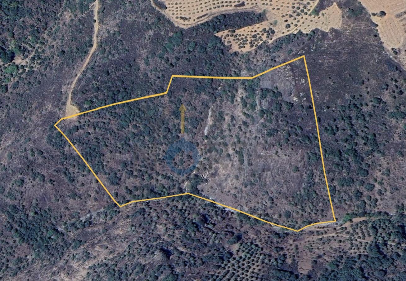 Quintinha  Venda em Alfândega da Fé,Alfândega da Fé