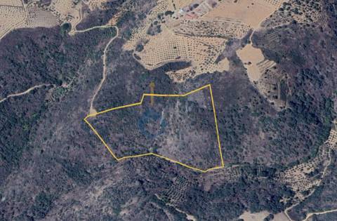 Quintinha  Venda em Alfândega da Fé,Alfândega da Fé