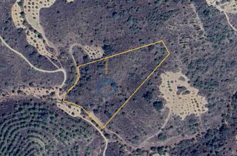 Terreno Rústico  Venda em Vilar Chão,Alfândega da Fé