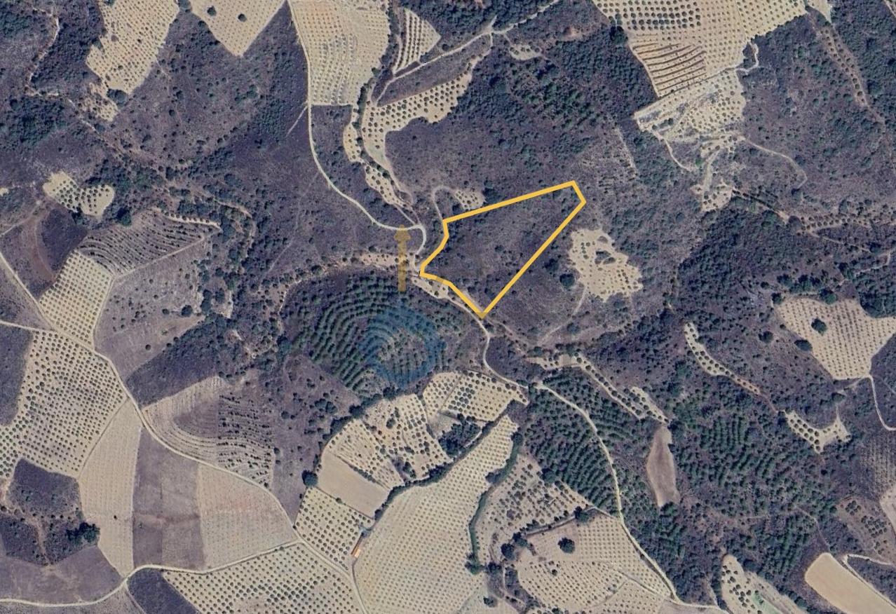 Terreno Rústico  Venda em Vilar Chão,Alfândega da Fé