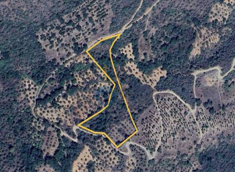 Terreno Rústico  Venda em Parada e Sendim da Ribeira,Alfândega da Fé