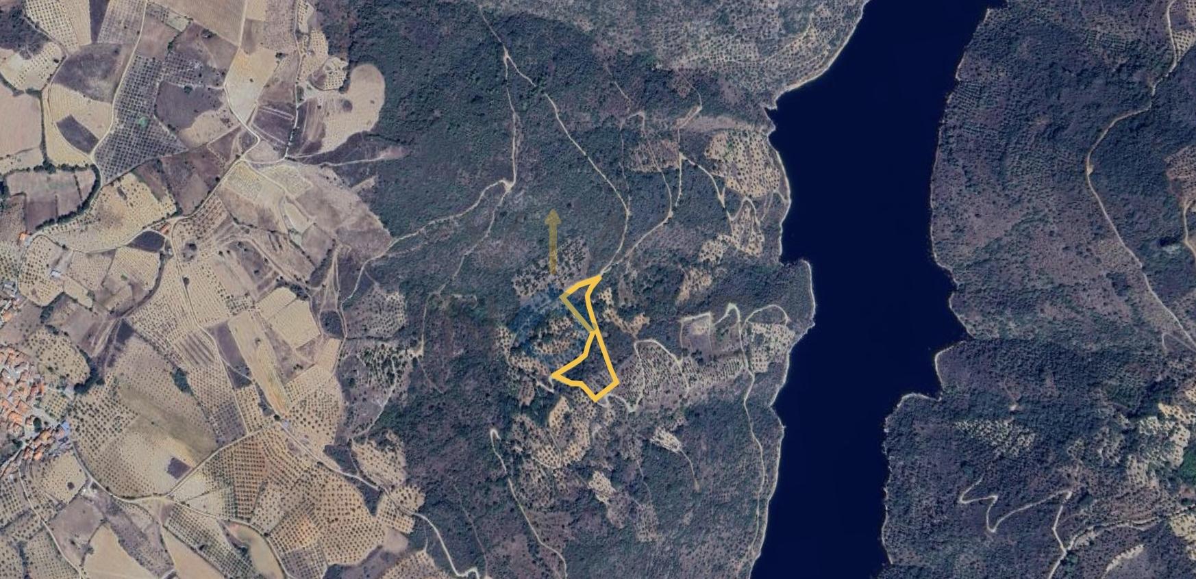 Terreno Rústico  Venda em Parada e Sendim da Ribeira,Alfândega da Fé