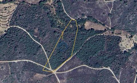 Terreno Rústico  Venda em Parada e Sendim da Ribeira,Alfândega da Fé