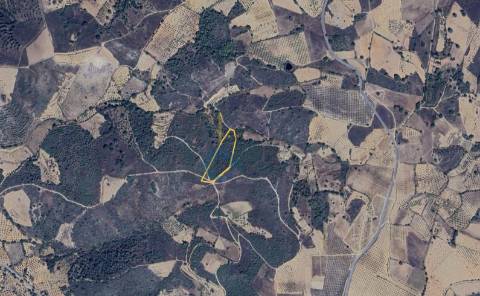 Terreno Rústico  Venda em Parada e Sendim da Ribeira,Alfândega da Fé