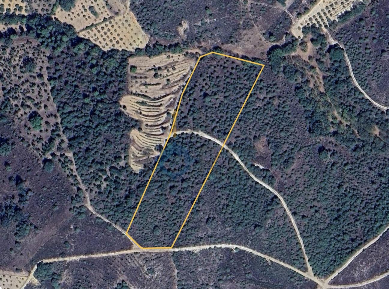 Terreno Rústico  Venda em Parada e Sendim da Ribeira,Alfândega da Fé