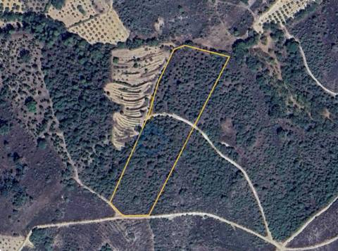 Terreno Rústico  Venda em Parada e Sendim da Ribeira,Alfândega da Fé