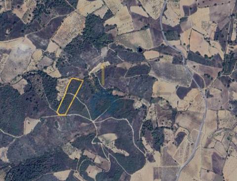 Terreno Rústico  Venda em Parada e Sendim da Ribeira,Alfândega da Fé