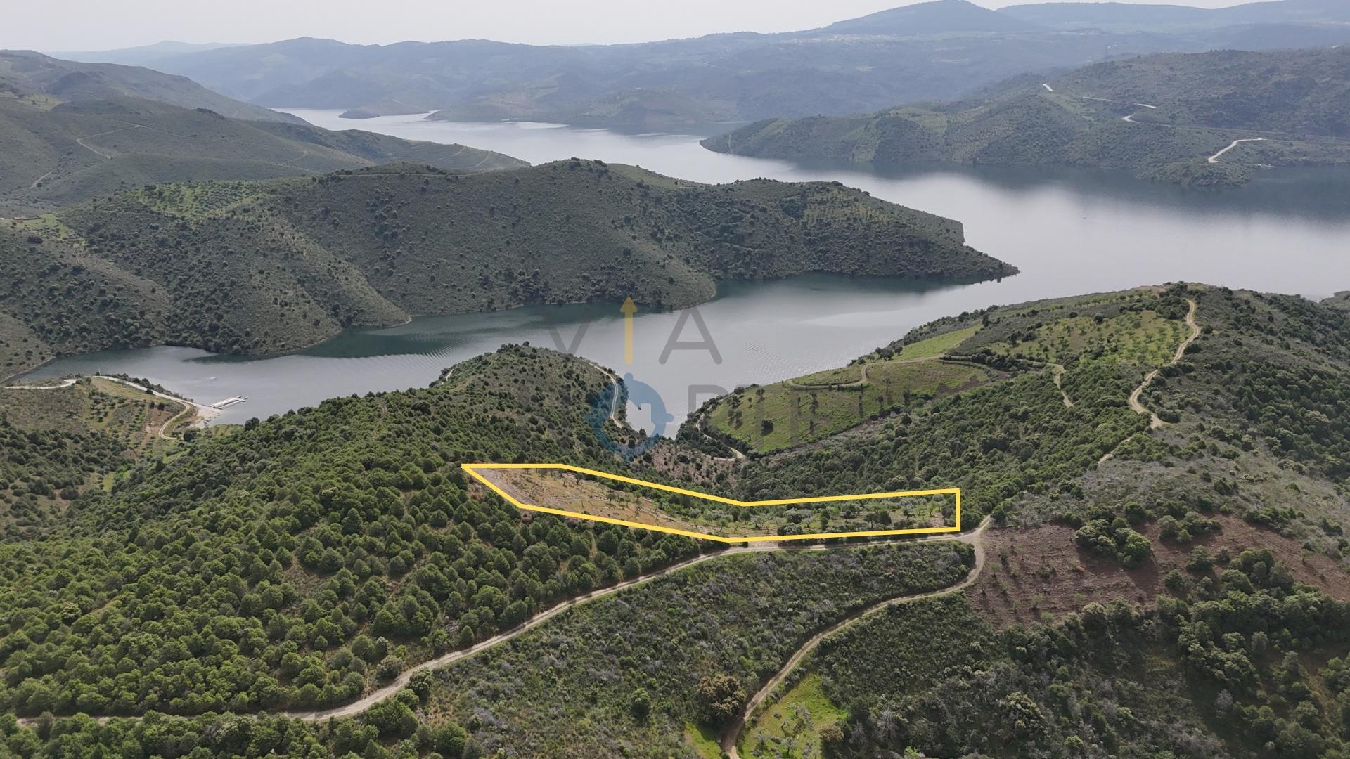 Terreno Rústico  Venda em Adeganha e Cardanha,Torre de Moncorvo