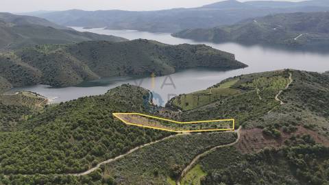 Terreno Rústico  Venda em Adeganha e Cardanha,Torre de Moncorvo
