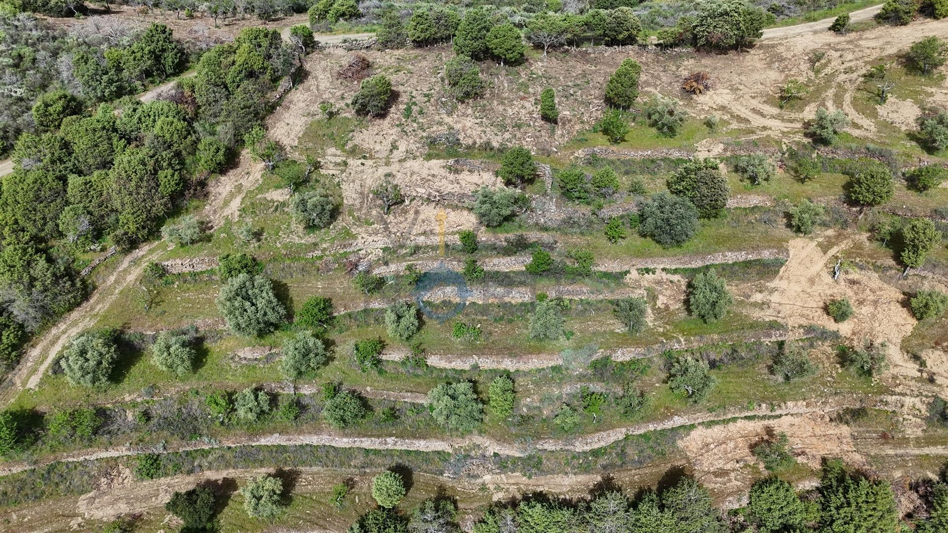 Terreno Rústico  Venda em Adeganha e Cardanha,Torre de Moncorvo