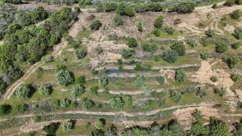 Terreno Rústico  Venda em Adeganha e Cardanha,Torre de Moncorvo