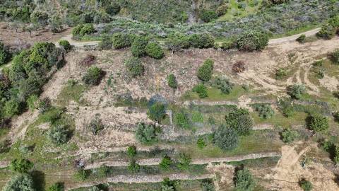 Terreno Rústico  Venda em Adeganha e Cardanha,Torre de Moncorvo