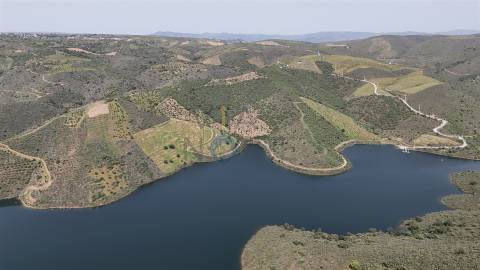 Terreno Rústico  Venda em Adeganha e Cardanha,Torre de Moncorvo
