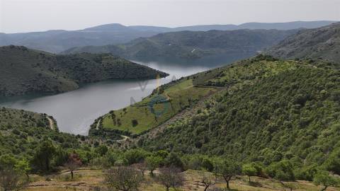 Terreno Rústico  Venda em Adeganha e Cardanha,Torre de Moncorvo