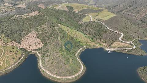 Terreno Rústico  Venda em Adeganha e Cardanha,Torre de Moncorvo