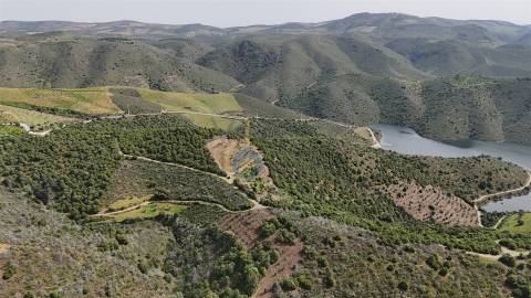 Terreno Rústico  Venda em Adeganha e Cardanha,Torre de Moncorvo