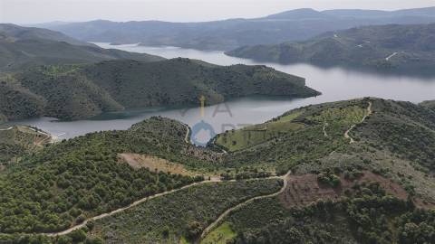 Terreno Rústico  Venda em Adeganha e Cardanha,Torre de Moncorvo