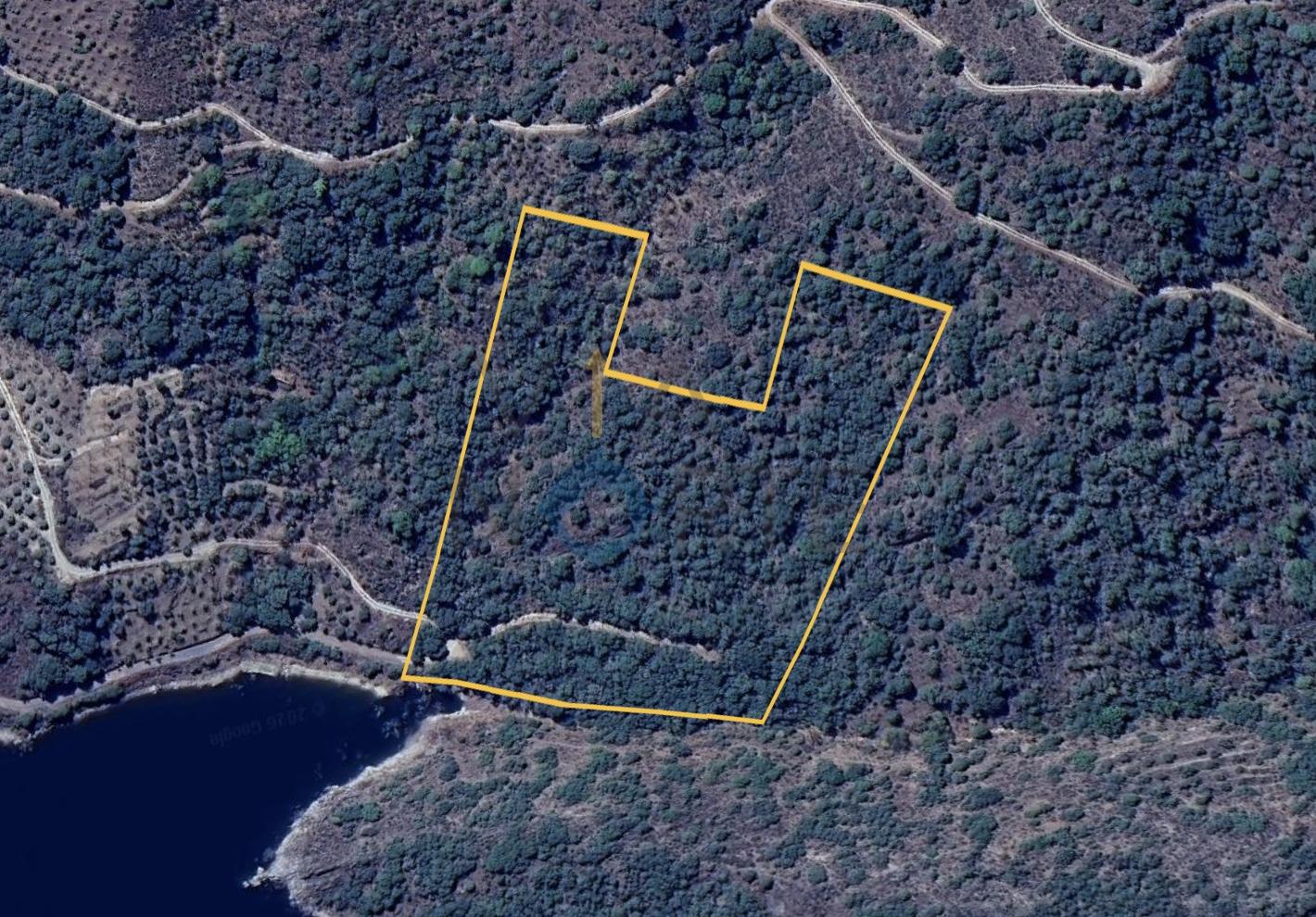 Terreno Rústico  Venda em Vilar Chão,Alfândega da Fé